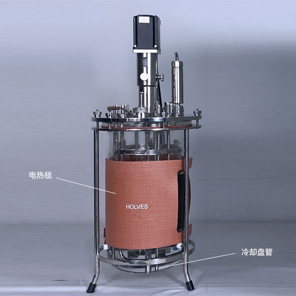 Kaiyun.com（HOLVES）实验发酵罐