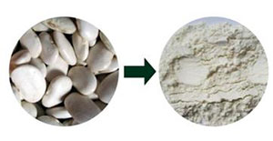 陶瓷膜过滤在芸豆提取物中的运用