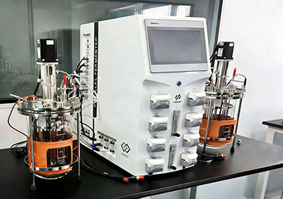 Kaiyun.com实验室双联发酵罐Twin220